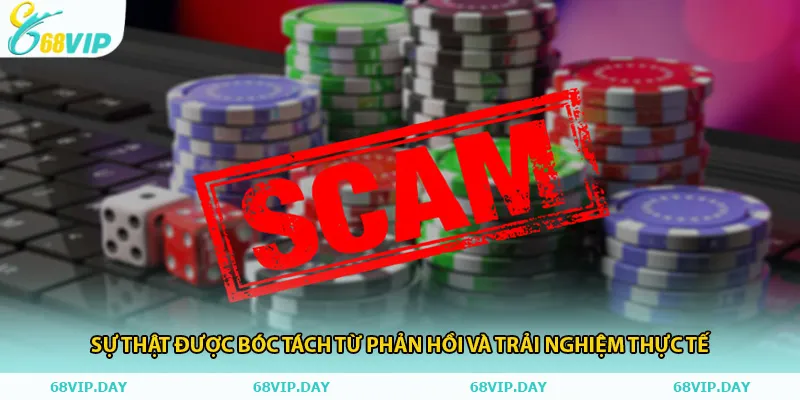 Sự thật được bóc tách từ phản hồi và trải nghiệm thực tế