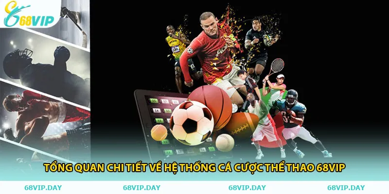Tổng quan chi tiết về hệ thống cá cược thể thao 68vip