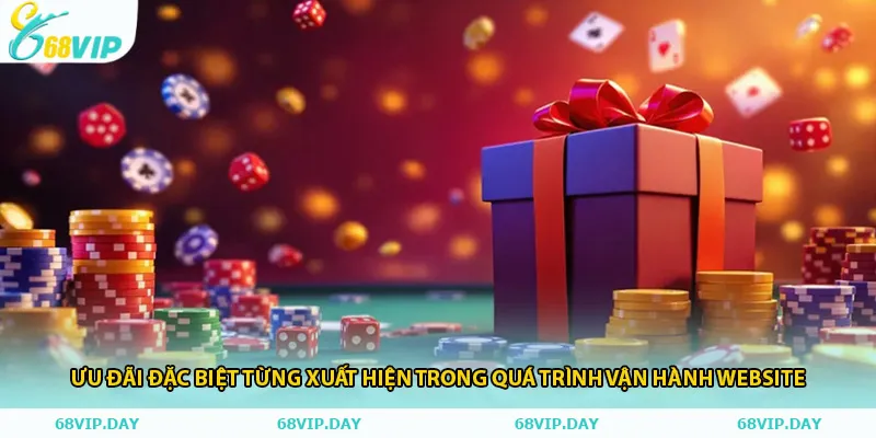 Ưu đãi đặc biệt từng xuất hiện trong quá trình vận hành website
